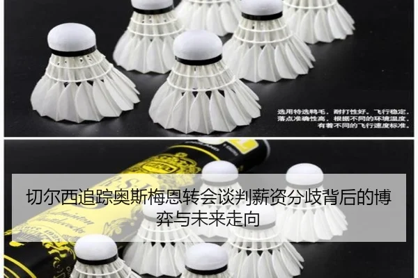 切尔西追踪奥斯梅恩转会谈判薪资分歧背后的博弈与未来走向