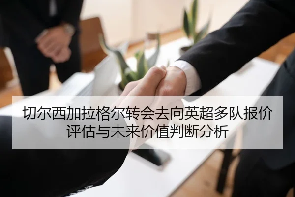 切尔西加拉格尔转会去向英超多队报价评估与未来价值判断分析