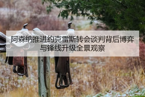 阿森纳推进约克雷斯转会谈判背后博弈与锋线升级全景观察